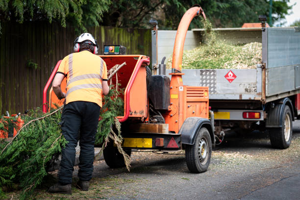 Best Tree Risk Assessment  in Maytown, PA